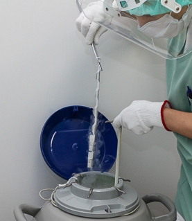 Cryopreservation, Vitrification 