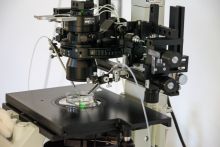 Laboratory
