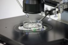 Laboratory