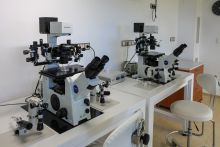 Laboratory
