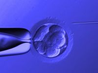 Assisted hatching