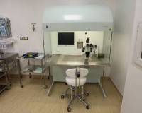 5D2_14591_original